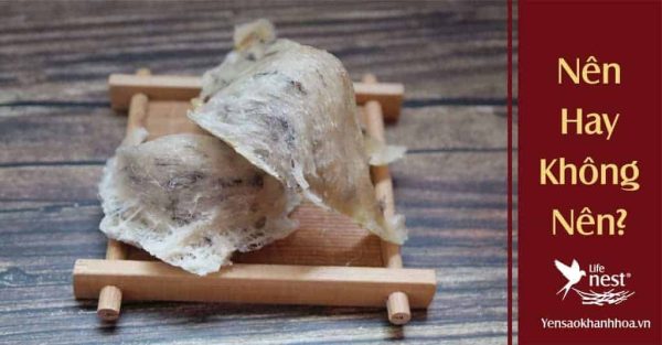 Nên mua yến thô không