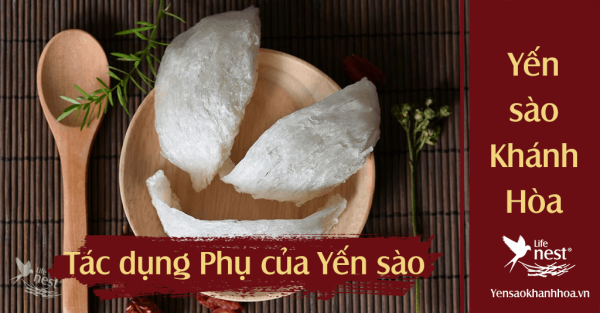 Tác dụng phụ của yến sào,hạn sử dụng và cách bảo quản