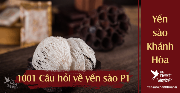 1001 cau hoi yen sao p1