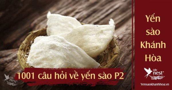 1001 Câu hỏi và giải đáp tìm hiểu về yến sào (tổ yến) Phần2