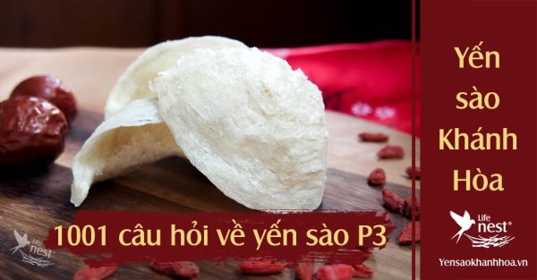 1001 Câu hỏi và giải đáp tìm hiểu về yến sào ( tổ yến ) Phần 3