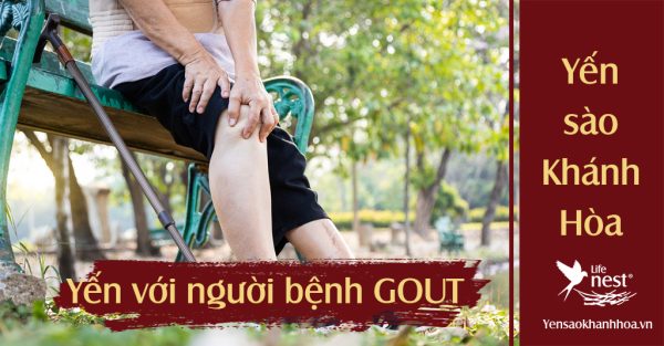 Người bệnh gout có dùng yến sào được không? kiêng ăn gì ?