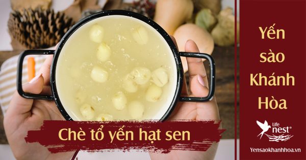 che to yen hat sen copy