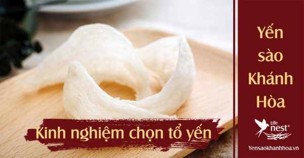 Bật mí 9 kinh nghiệm chọn mua tổ yến chất lượng