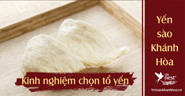 Kinh nghiệm chọn mua tổ yến an toàn và chất lượng NHẤT