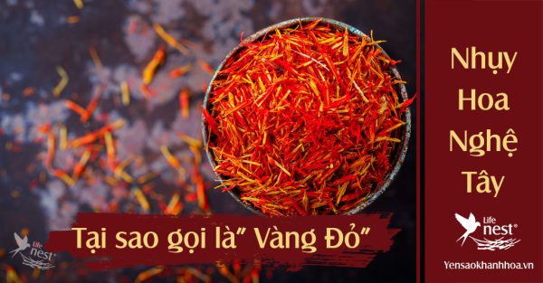 Lý do tại sao nhụy hoa nghệ tây lại đắt đỏ