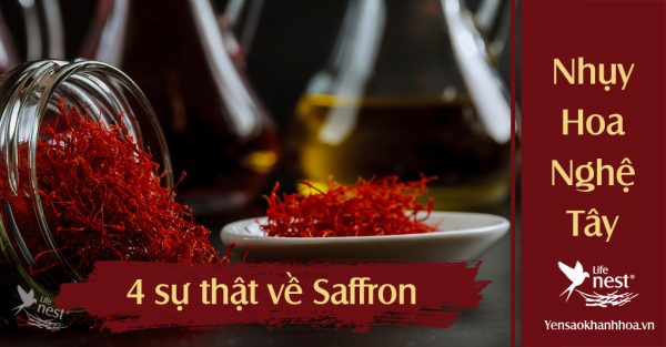 4 sự thật về saffron nhụy hoa nghệ tây CHƯA TỪNG CÔNG BỐ