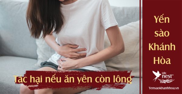 Lông yến có độc không