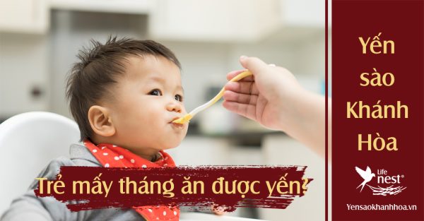 Yến sào trẻ em mấy tháng ăn được