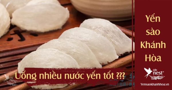 Uống nước yến nhiều có tốt không