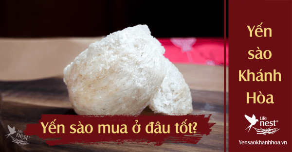 Yến sào loại nào tốt nhất và nên mua ở đâu?